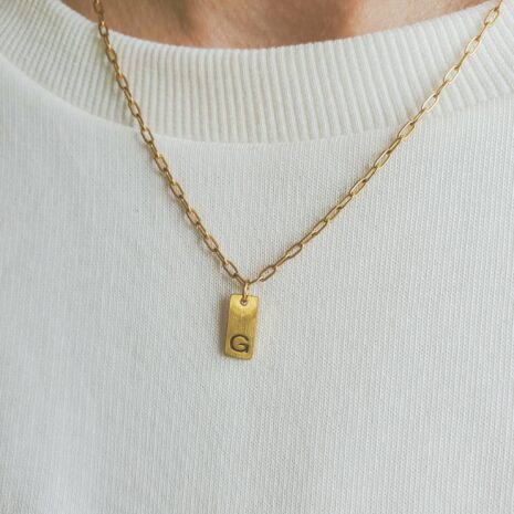 Mini Dog Tag gold necklace